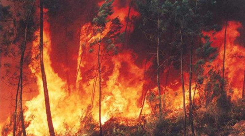 El Niño chegou e pode ser muito forte